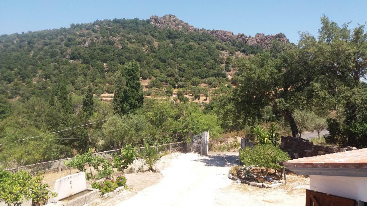 منزل الضيف دورغالي  في Casa Lucia Campagna Relax المظهر الخارجي الصورة